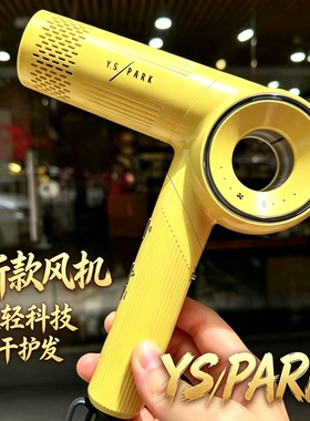 YS发廊用大功率超轻静音吹风机