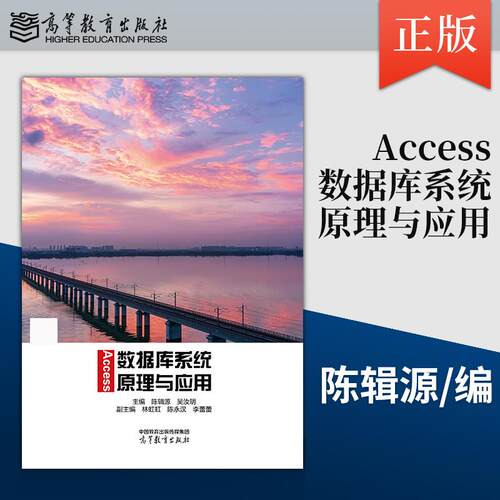 正版Access数据库系统原理与应用 陈辑源 吴汝明 9787040668612 高等教育出版社