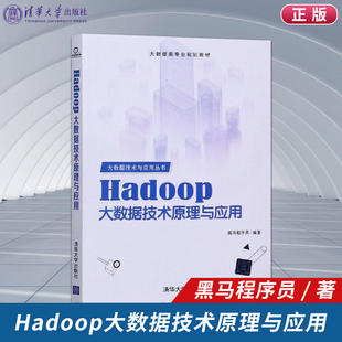 Hadoop大数据技术原理与应用 Spark原理与应用 大数据分析 hadoop大数据实战开发教程书 现货 大数据处理与开发技术书籍 正版