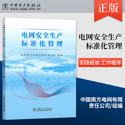 【出版社直供】电网安全生产标准化管理 电力行业和南方电网公司标准化组织机构职责制度技术标准体系建设和标准书籍 中国电力出版