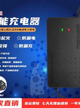 电动车电瓶充电器48V12AH20AH60V72V30AH雅迪新日金鹏电三轮通用