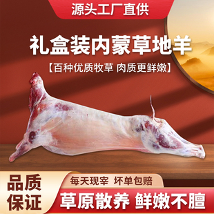 内蒙古特产羊肉整只送礼特惠新鲜现杀现发全羊包邮正宗草原羊