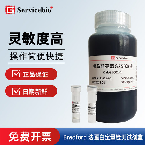 ServicbioBradford蛋白定量检测
