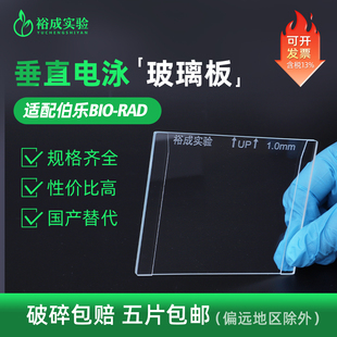 裕成实验Western Blot玻璃板替代伯乐Bio-Rad 凯元WB电泳玻璃板