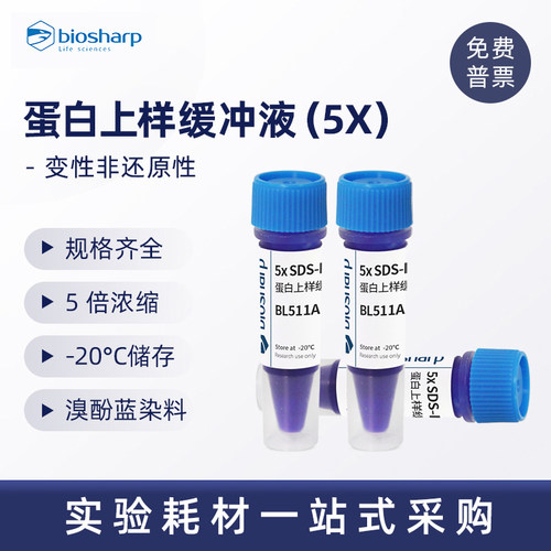 SDS-PAGE蛋白上样缓冲液biosharp