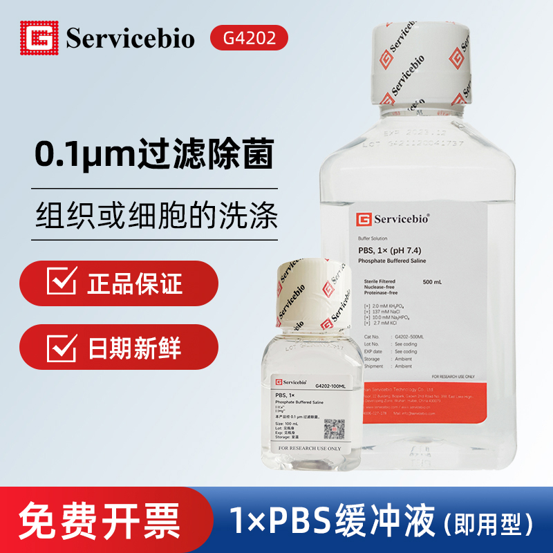 1倍磷酸盐缓冲液Servicbio