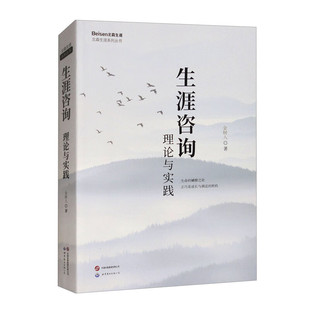 生涯咨询理论与实践 金树人 生涯发展 职业 人生规划书籍 生涯理论的底层知识逻辑框架 世界图书出版公司 9787523216873