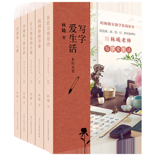 写字爱生活系列丛书全套5册 林曦老师的书法美育课 暄桐教室教学集锦623则短章 篆/隶/楷/行/草书经典碑帖 观览文人智慧与书法之美