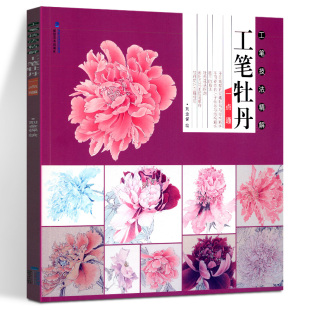 工笔牡丹一点通 工笔技法精解 刘金保绘 工笔花鸟画扇面临摹鉴赏专业美术爱好者绘画技法画法 中国画绘画初学者入门基础知识书籍