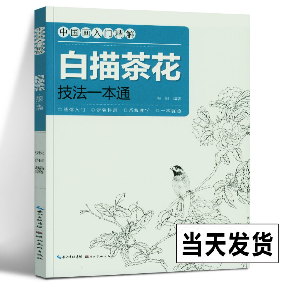 白描茶花技法一本通 张阳 图稿作品欣赏山水画花鸟画入门教学结构讲解