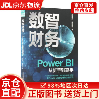 数智财务:PowerBI从新手到高手
