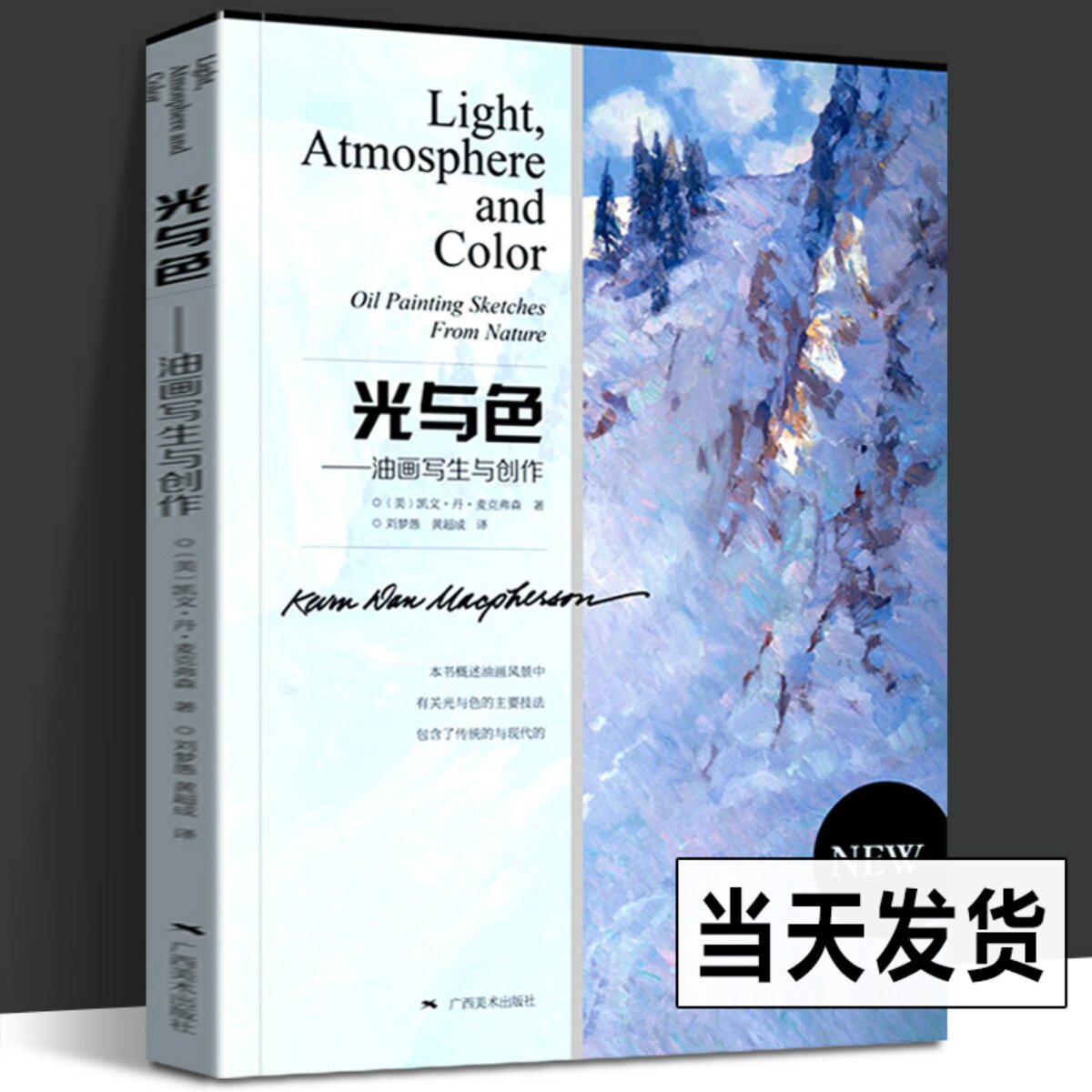现货 光与色 油画写生与创作 油画手绘技法教程 零基础学油画绘画自学入门教材风景画临摹画册色彩绘画技法传统现代油画书广西美术