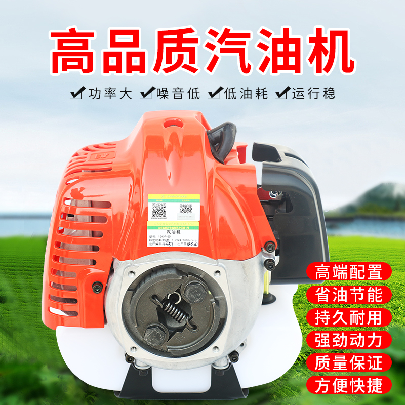 两2二冲程汽油机发动机 割草绿篱地钻高枝锯动力总成G45LTU43大全