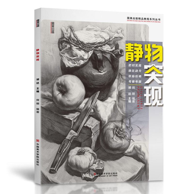 静物突现 素描组合水果单体组合结构基础入门照片对画临摹范本到位