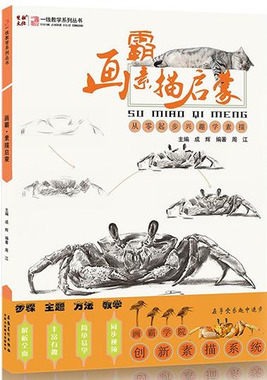 210*285 素描启蒙图书