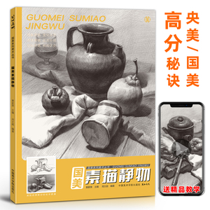 国美素描静物临摹照片书教材入门画册基础周文超美术生对画考级范本8开结构单体组合陶罐水果衬布写生铅笔绘画画儿童成人练习高考