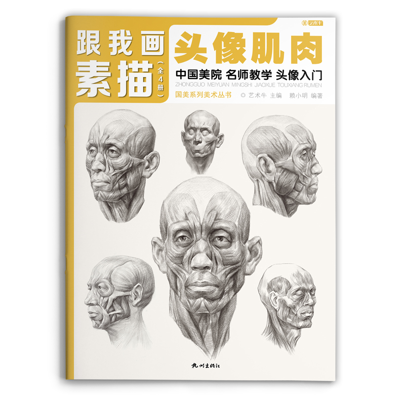 素描头像肌肉详解跟我画