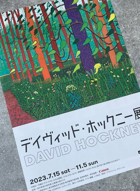 Mo+东京都现代美术馆 大卫霍克尼大型回顾展 日本原版A4展览海报