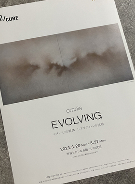 特价EVOLVING图像的解构与现实的挑战 日本展览宣传页原版小海报