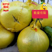 玉环特产文旦大裂鲜果(4至6个装.十月上市)