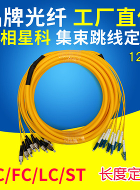 联相星科12芯集数跳线室内机房主干分支光缆加粗带保护套单模光纤5 10 15 20 500米可定制SC FC LC ST接头