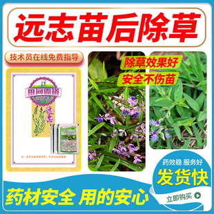 远志除草剂黄精苗后除草安全除草不伤苗禾阔双除不伤作物农用除草