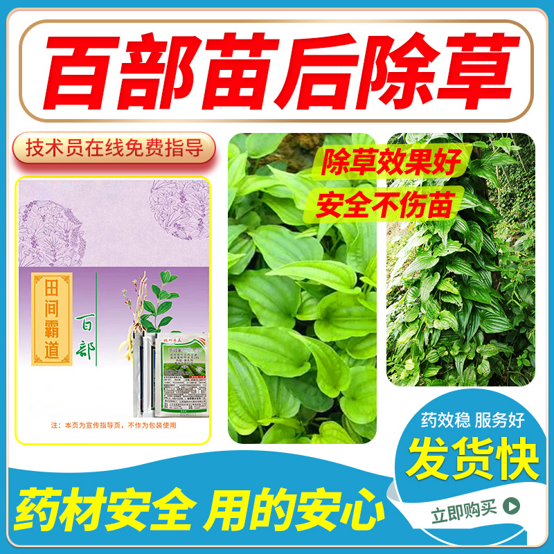 百部苗后使用除草剂除草不伤苗禾阔双除安全有效农用除草不伤作物