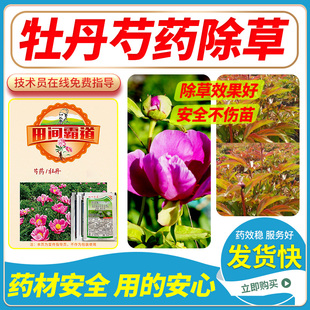 中药材牡丹苗后除草剂除草不伤苗禾阔双除袋装农用安全苗后除草剂