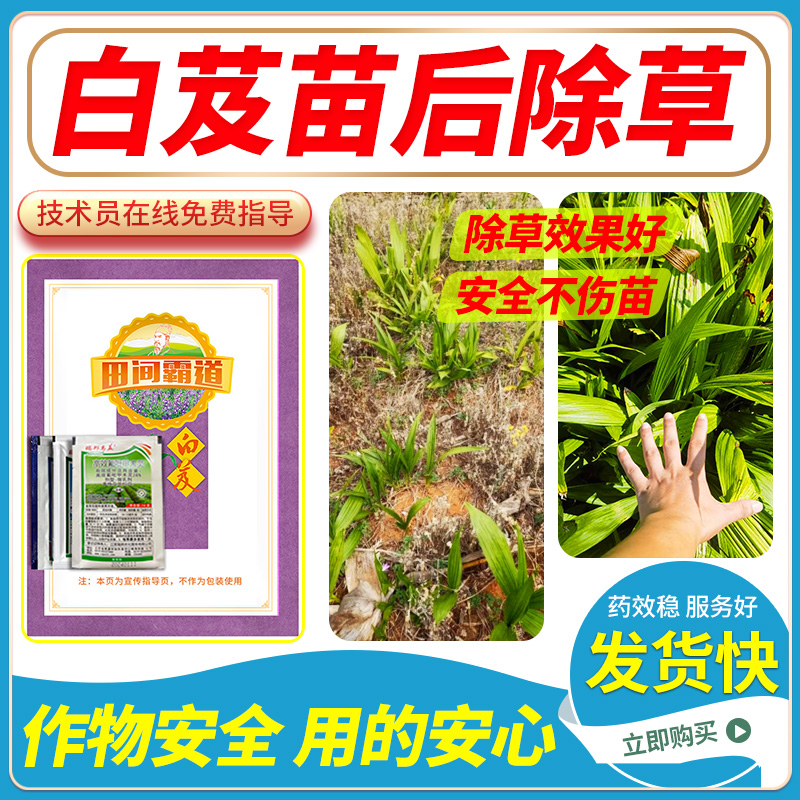 白芨苗后使用除草除草不伤苗禾阔双除...