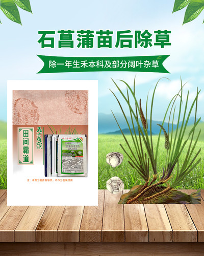 石菖蒲除草剂田间霸道石菖蒲苗后禾阔双除安全不伤苗石菖蒲袋装剂