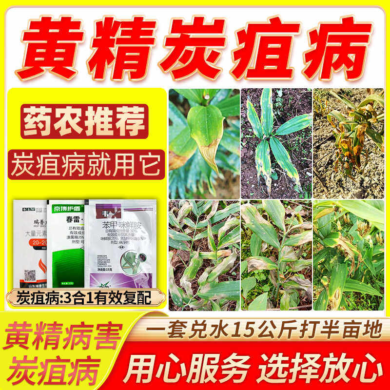 黄精炭疽病杀菌剂预防黄精苍术重楼白芨药材叶枯病炭疽病安全农用