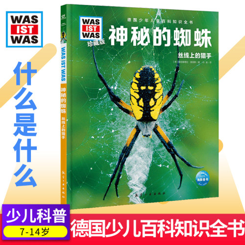 神秘的蜘蛛