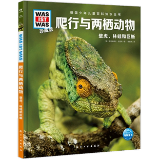 爬行与两栖动物 德国少年儿童百科知识全书少儿科普故事早教启蒙十万个为什么是什么百问百答6-8-10岁一二三年级中小学生课外科普