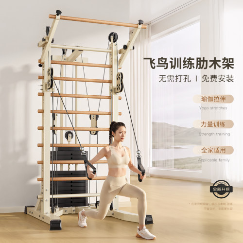 健身器材家用多功能飞鸟肋木架二合一高位下拉综合训练器引体架