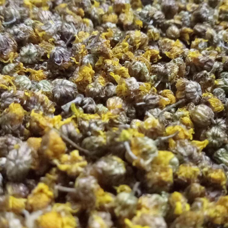 野菊花精油超临界co2提取代加工