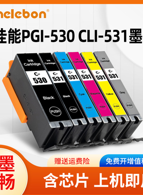 NBN 适用佳能BCI-530PGBK BCI-531墨盒CANON PIXUS TS8750 TS8751打印机墨盒日本型号BCI-531BK C M Y