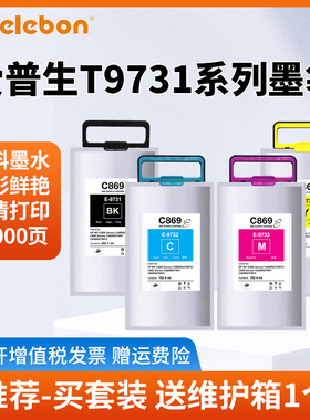NBN 适用爱普生Epson 869墨袋 WF-C869Ra墨水 黑色墨盒 T9731-T9734墨袋 维护箱 废墨仓 T9741-T9744颜料墨水