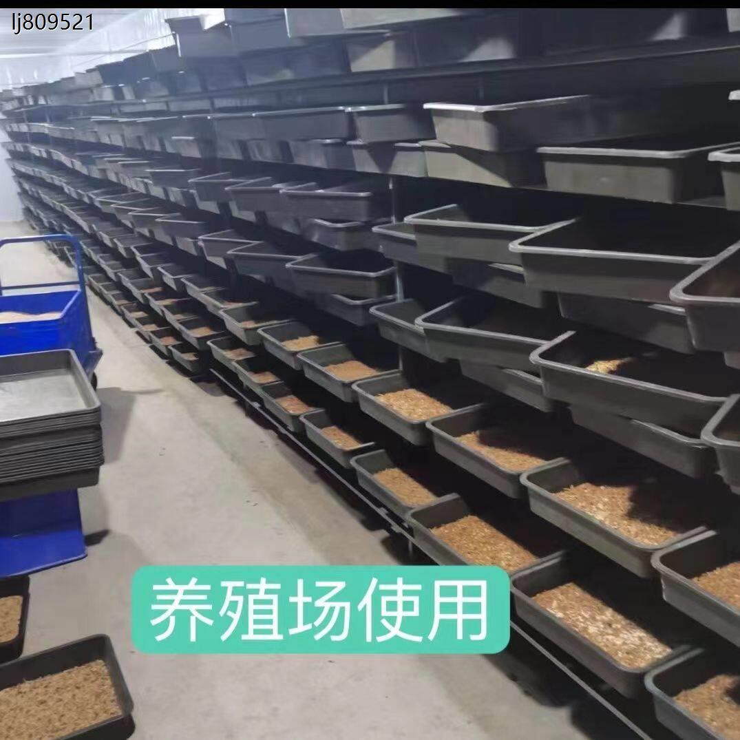 蛋白虫黄粉虫专用养殖盒大麦虫面包虫养殖工具塑料饲养盒厂家直大