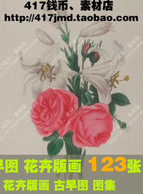 [古早图 图谱]法国 Henriette Vincent 花卉植物彩色版画图片素材