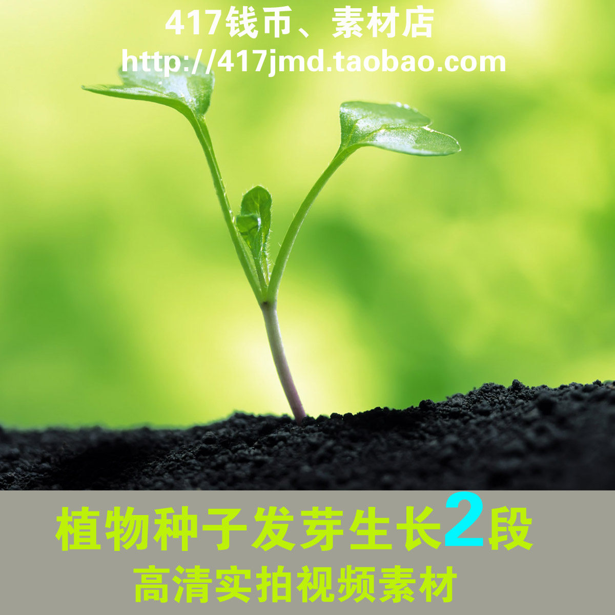 [led高清视频] 自然 植物 鲜花 昆虫 花开生长延时摄影素材