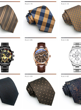 样板衣帽间道具男士领带手表摆件