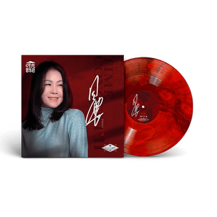 时光音乐会第二季时光音乐人田震个人音乐纪念限量彩胶LP黑胶唱片