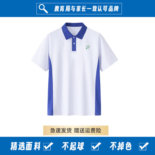深圳校服中学生女夏装短袖T恤衣