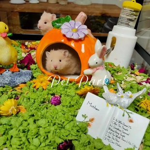 金丝熊陶瓷仓鼠窝造景躲避屋金丝熊南瓜窝避难所冬季防寒保暖睡窝