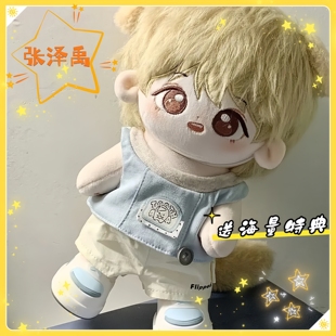 登陆少年张泽禹属性20cm棉花娃娃可爱帅气毛绒玩偶可换装生日礼物