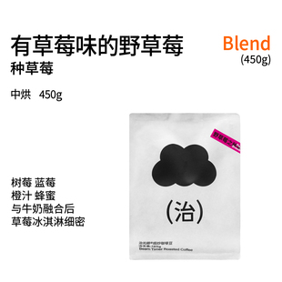 拿铁意式 治光师野草莓之种草莓美式 咖啡豆阿拉比卡新鲜烘焙450g