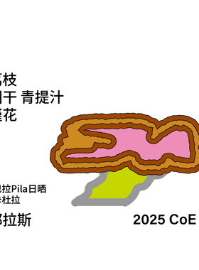 T系列 CoE#14洪都拉斯 玛拉卡杜拉日晒 手冲咖啡豆