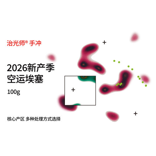 2026新产季埃塞俄比亚 多口味耶加雪菲手冲咖啡豆浅烘100g