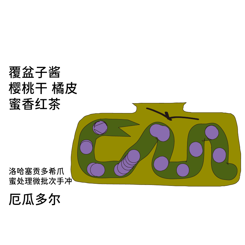 治光师厄瓜多尔希爪蜜处理咖啡豆