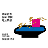 耶加雪菲浅烘手冲咖啡豆100g 多风味 Back系列 埃塞俄比亚